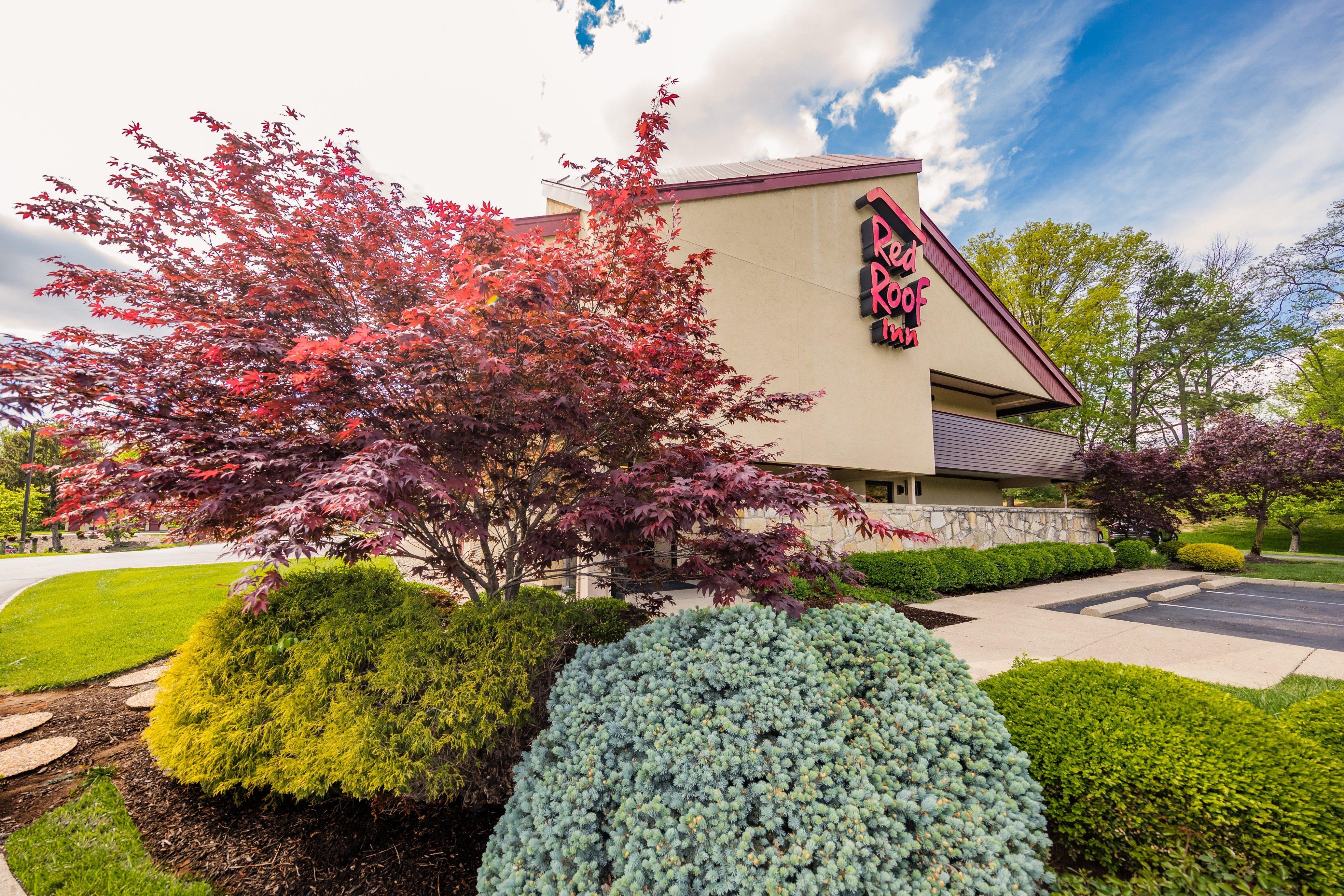 Red Roof Inn Cincinnati Northeast - Blue Ash Exterior photo
